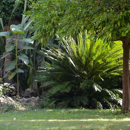 Les Passiflores Grasse Exterior photo